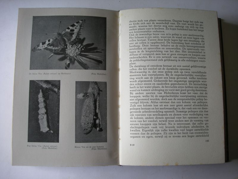Kruseman, Dr W.M. - De Wonderwereld der Biologie. Met 34 foto-afbeeldngen en 73 tekeningen