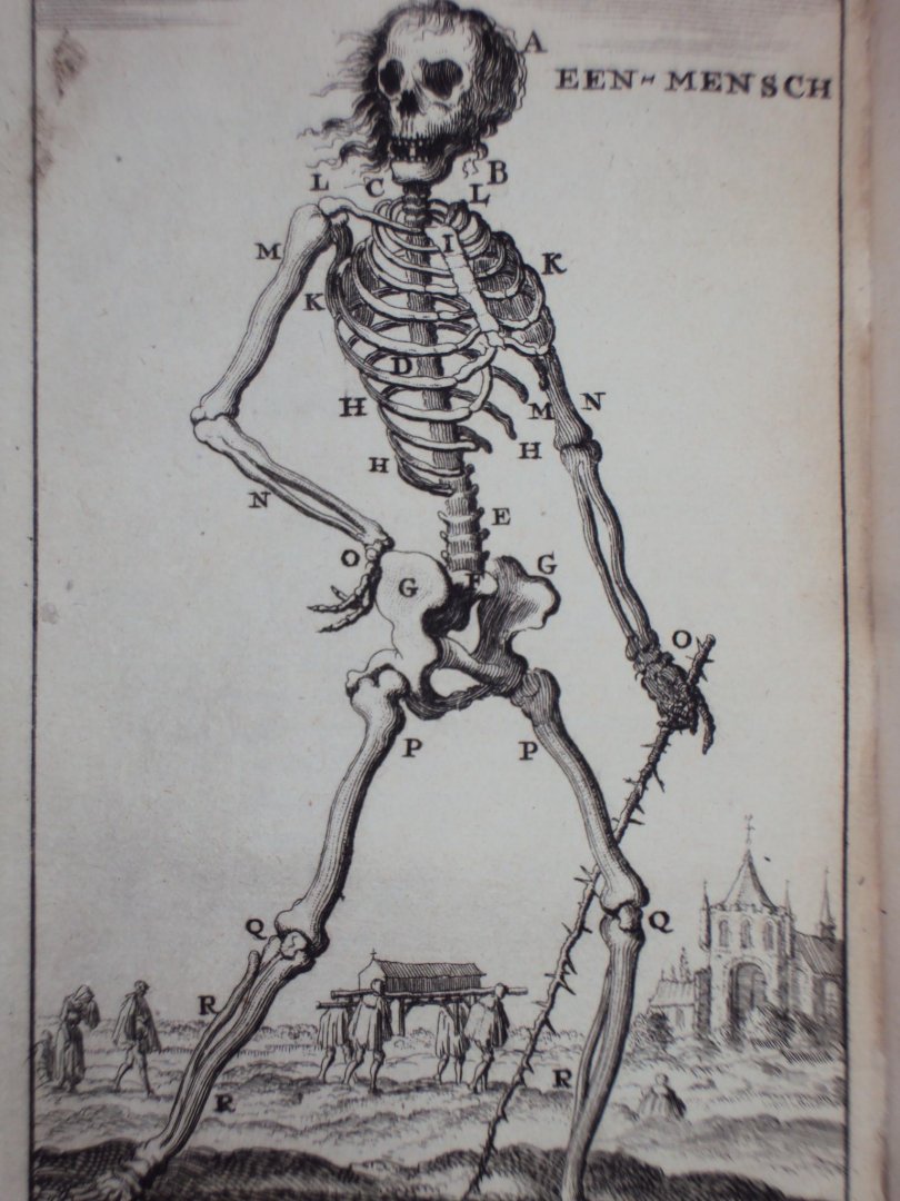 Cornelius van Dyk - Osteologia of nauwkeurige geraamt beschryving van verscheyde dieren