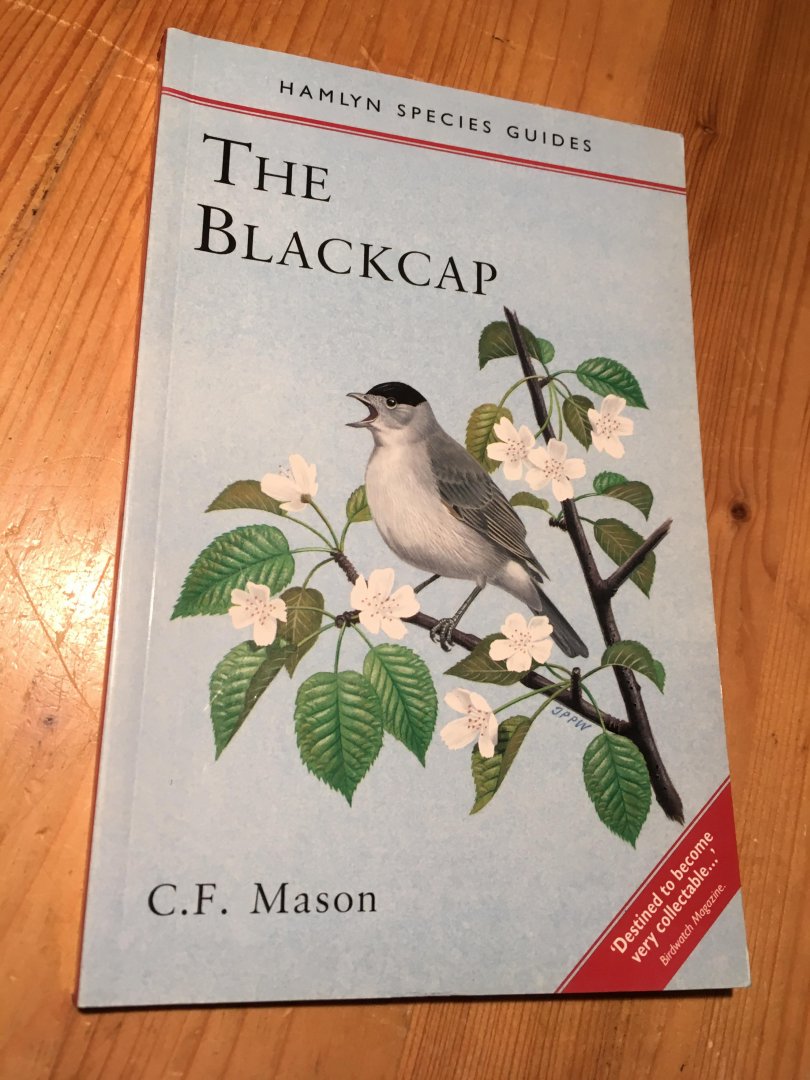 Mason, CF - The Blackcap (Zwartkop)