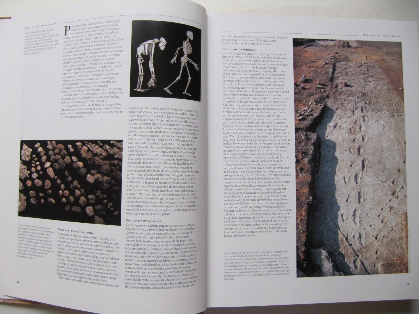 G. Burenhult - De eerste mens - de geschiedenis en ontwikkeling van de mensheid tot 2000 v. C.