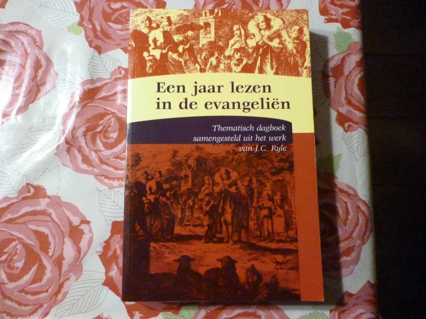 Ryle J.C. - een jaar lezen in de evangeliën