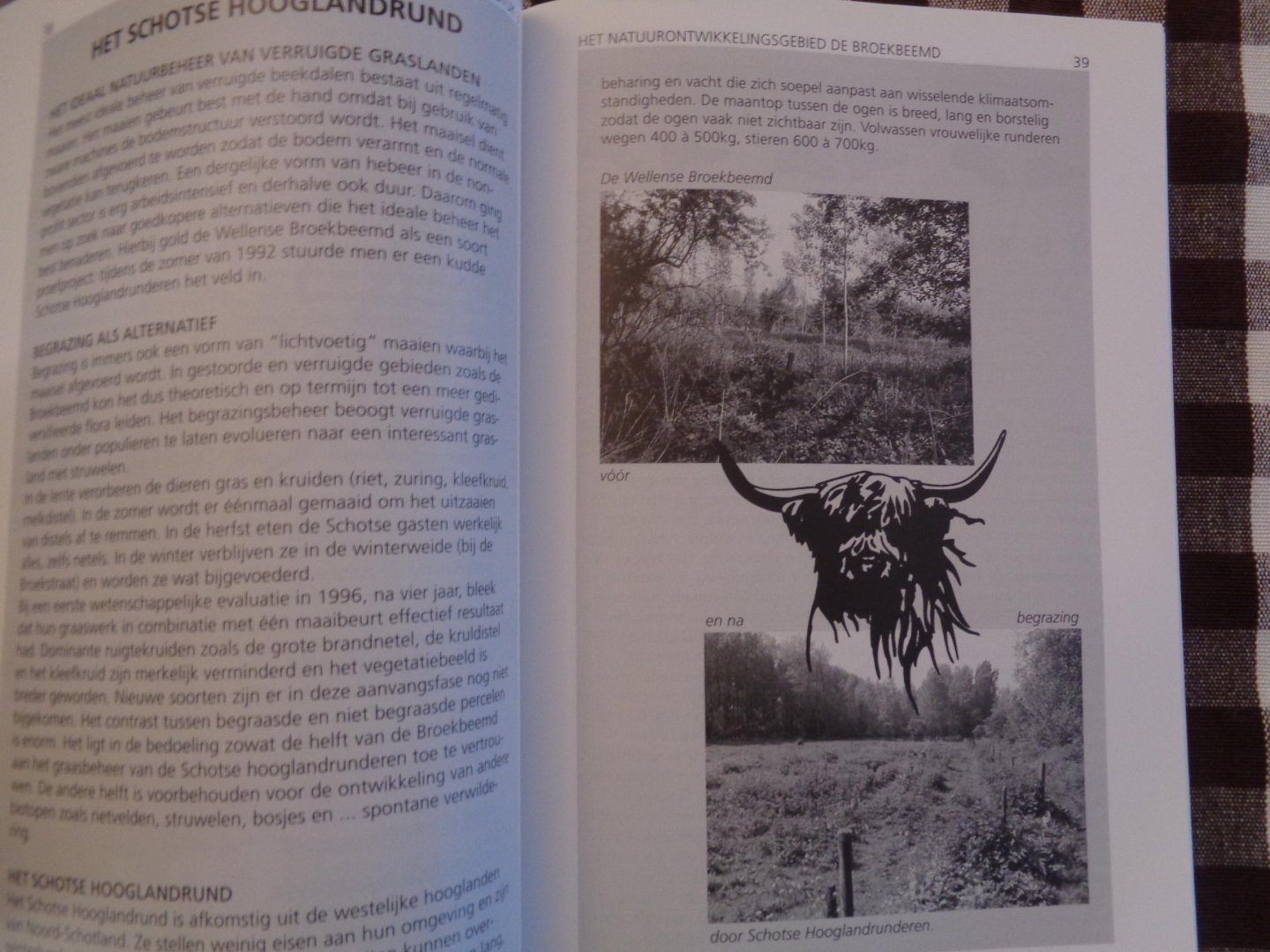 Diriken, P. - Geogids Wellen