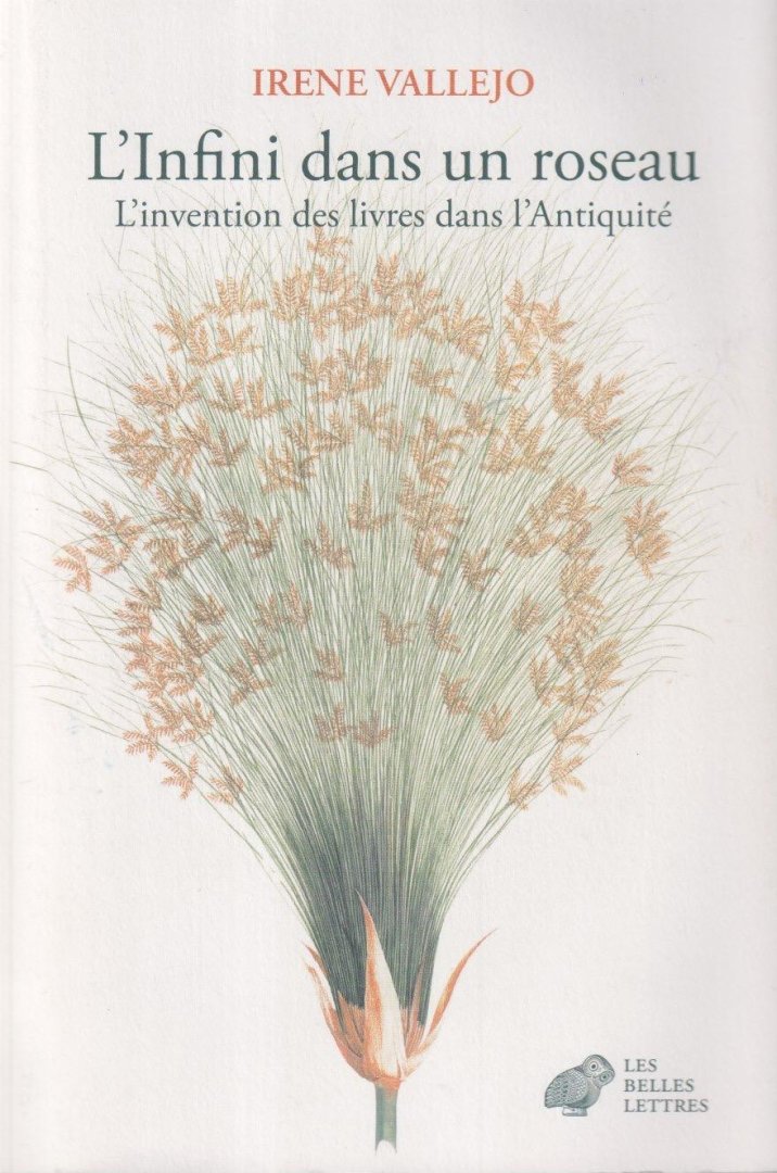Vallejo, Irene - L'Infini dans un roseau: L'invention des livres dans l'Antiquité