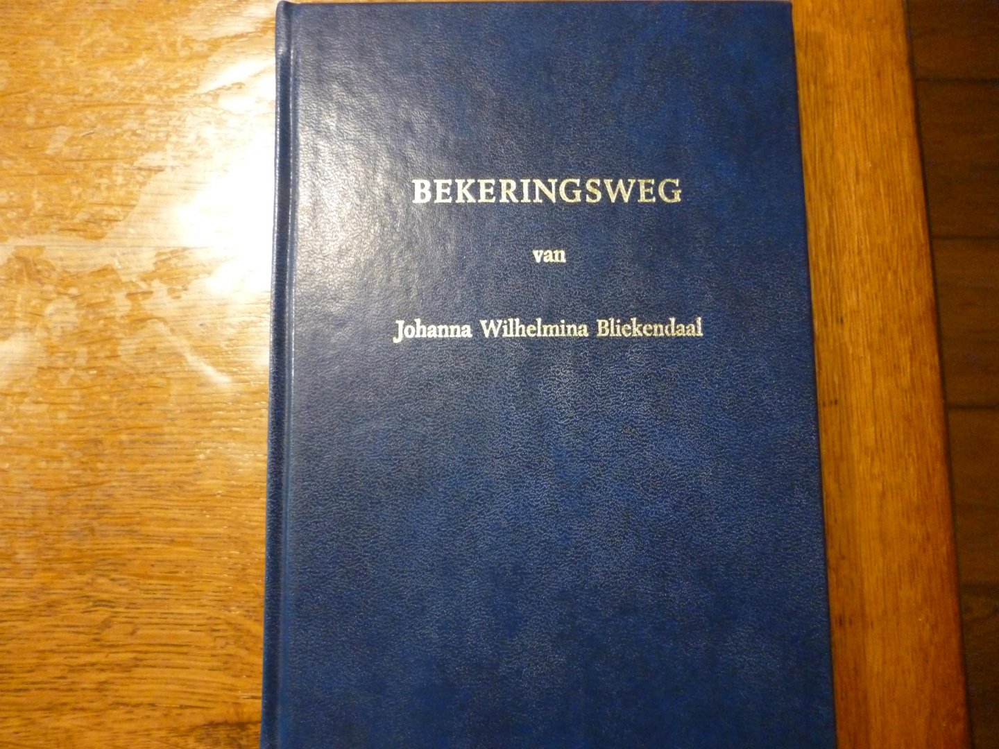 Bliekendaal Johanna Wilhelmina - Bekeringsweg
