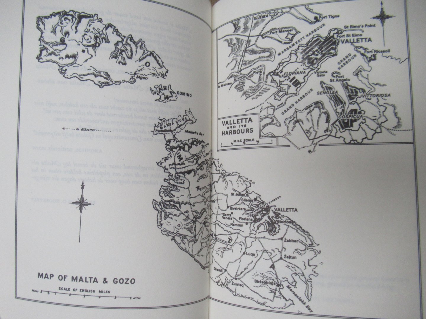 Rinaldi, Nicholas - De verliefde soldaat. Een prachtig verhaal over een gepassioneerde liefde te midden van een krankzinnige oorlog