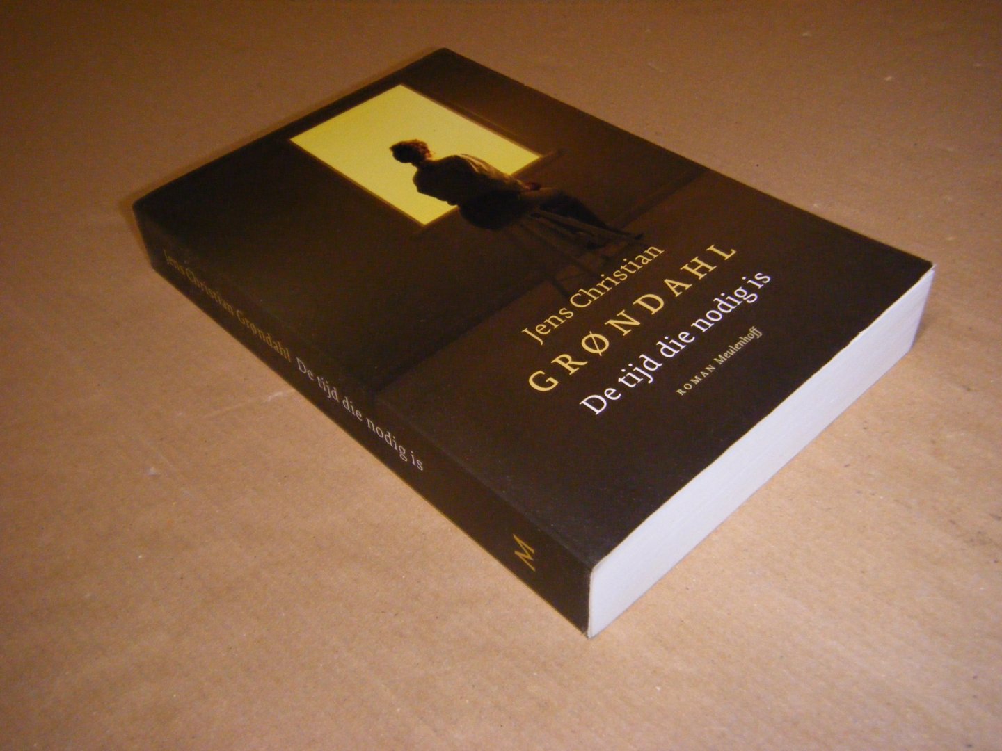 Jens Christian Grøndahl - De tijd die nodig is