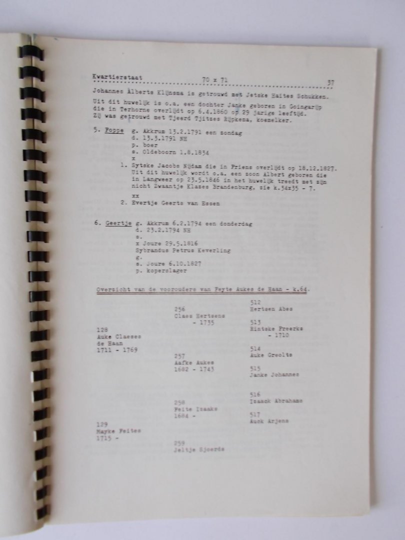 De Haan, H.C. - IRNSUM gem. Rauwerderhem - DE HOANNEBEAM - Foaralden en neiteam/Voorouders en nageslacht