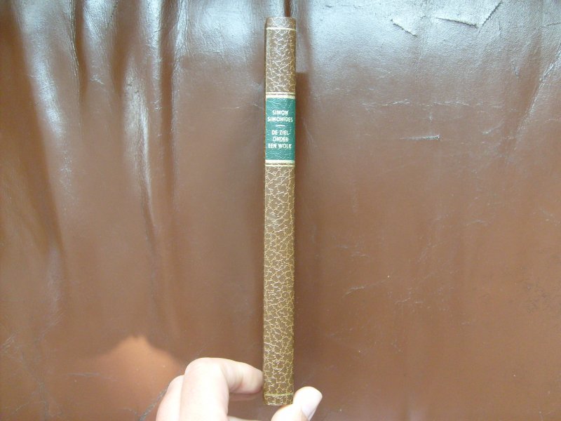 Simonides Simon - De ziel onder een wolk