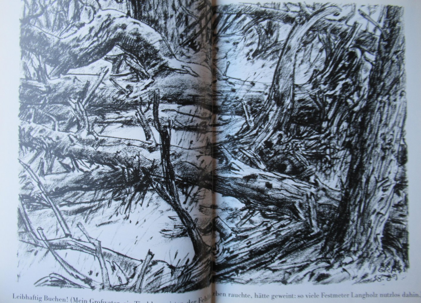 Grass, Günther - Totes Holz. Ein Nachruf