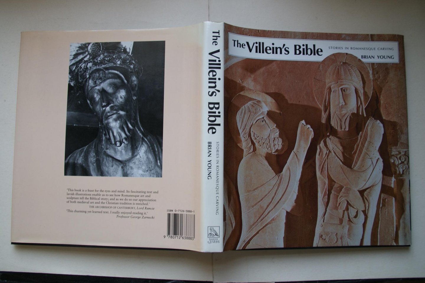 Brian Young - The VILLEIN'S  Bible  stories in Romanesque carving