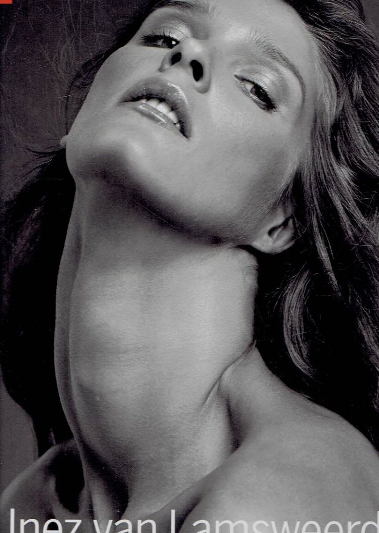 LAMSWEERDE, Inez van & Vinoodh MATADIN - Inez van Lamsweerde & Vinoodh Matadin. Stern Fotografie Portfolio Nr. 55