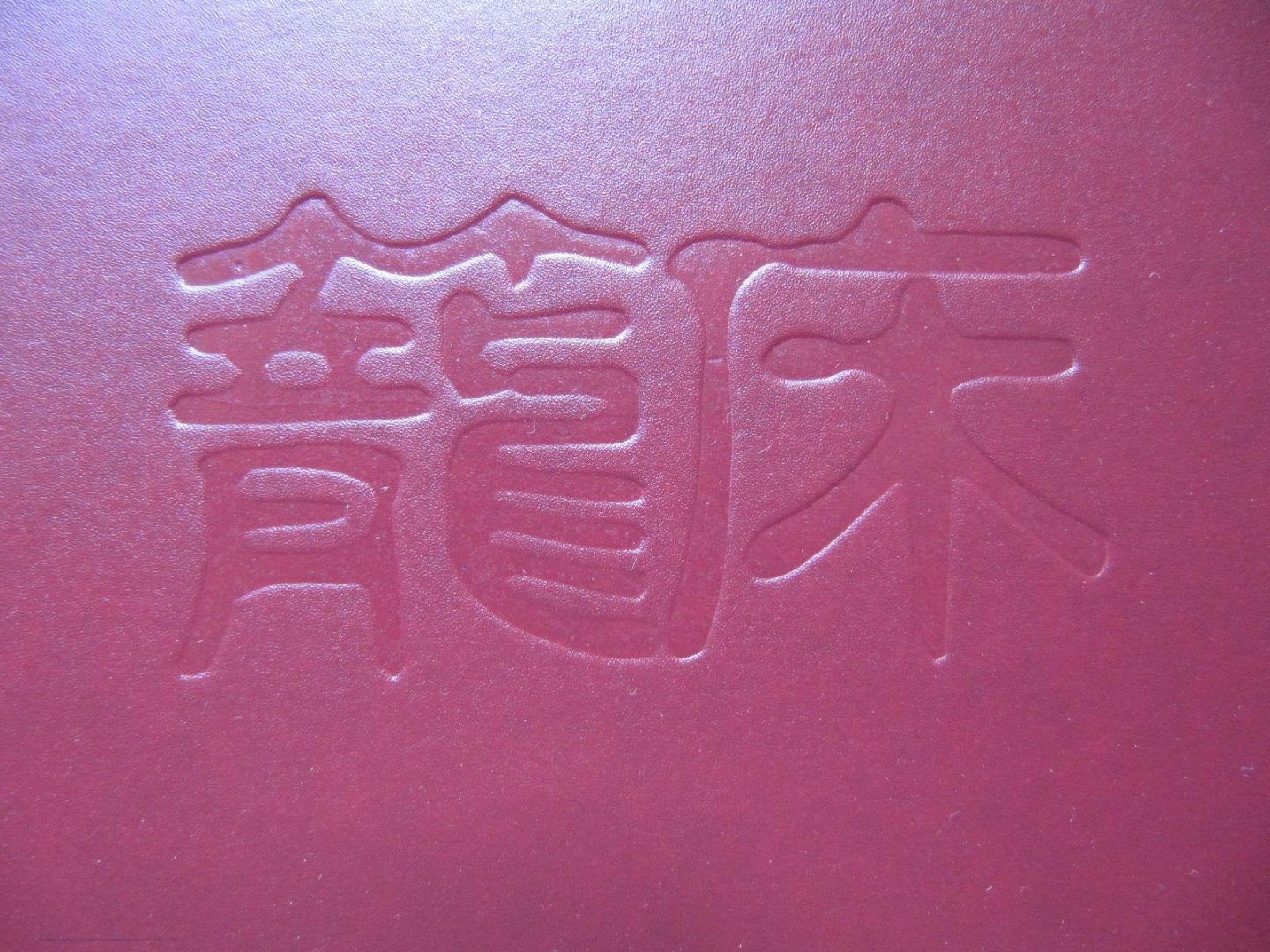 Leung, You-wing - Photo Album of Cages I, dedicated to all cageman again