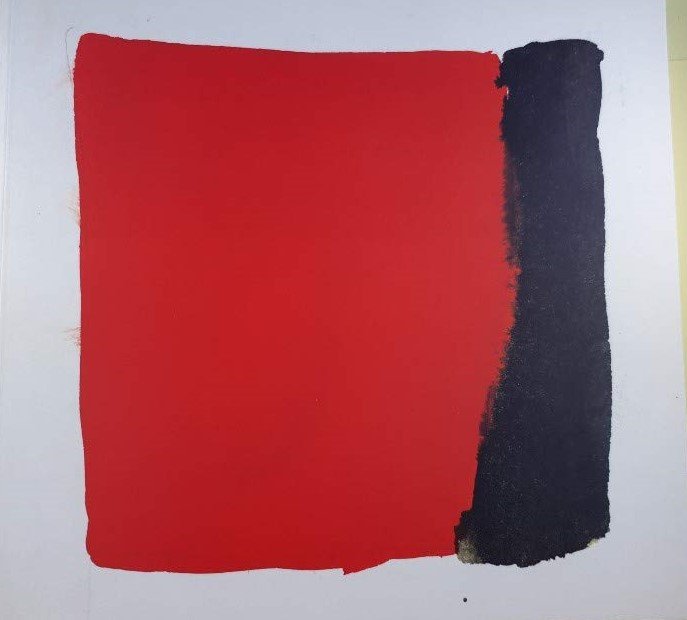 Bois, Yve-Alain - Ellsworth Kelly: The Early Drawings 1948-1955