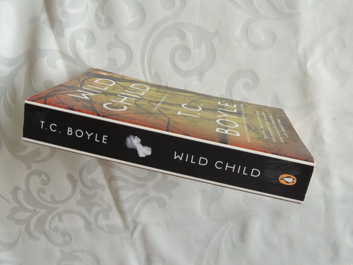Boyle, T. Coraghessan - Wild Child / And Other Stories