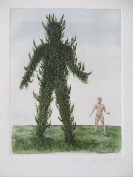 Vroom, Jean Paul. - Metamorfose.