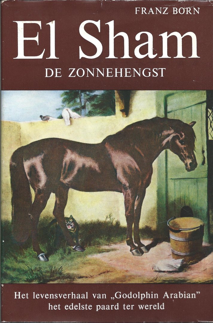 Born - El Sham, de zonnehengst