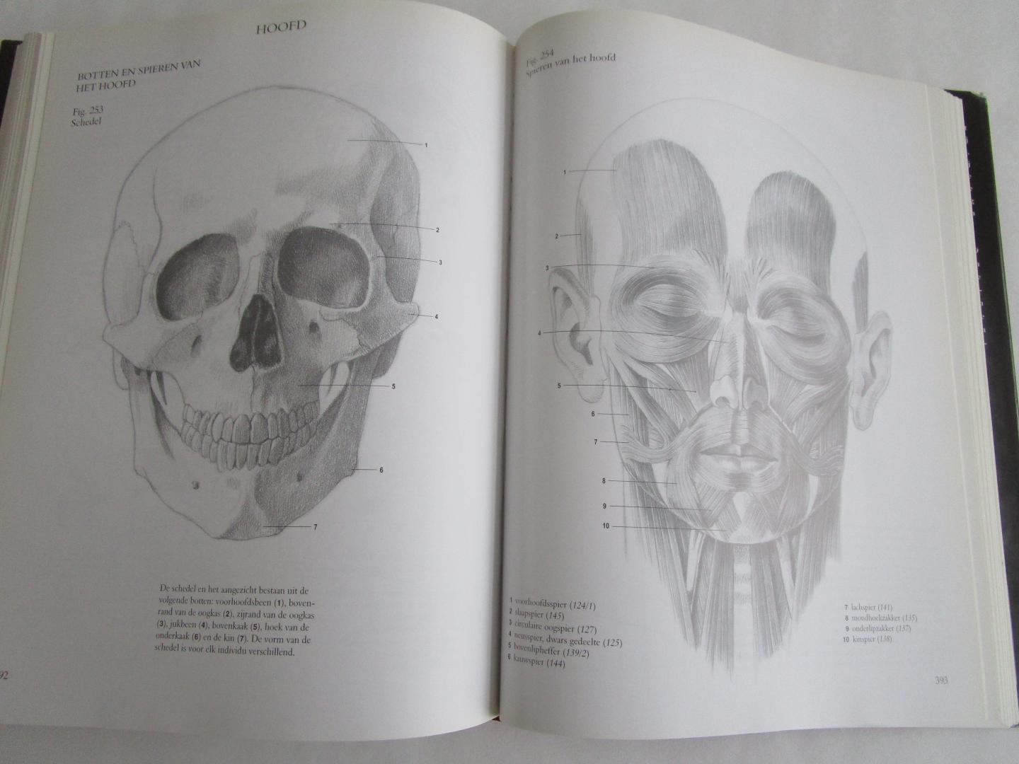 Féher, György (tekst van)  Szunyoghy, András (tekeningen van} - Menselijke anatomie  - voor kunstenaars -