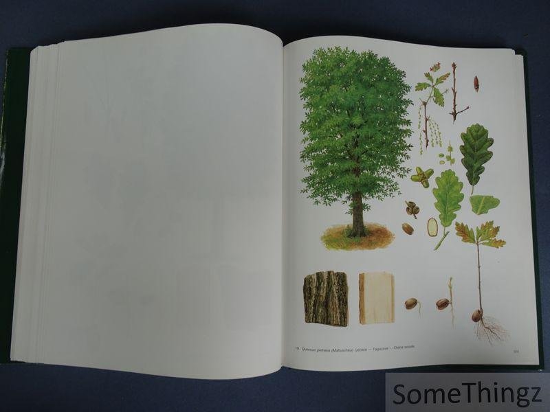 Philippe Blerot et Jean-Pierre Lambot (coord. générale.) - Le grand livre de la forêt wallonne.