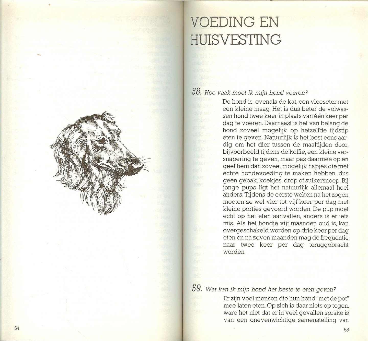 Lommers, Henk Omslag Cor 't Hart  Illustraties Monique de Boer  Boekverzorging Johan Bos - Honden. 101 vragen aan dierenarts Henk Lommers