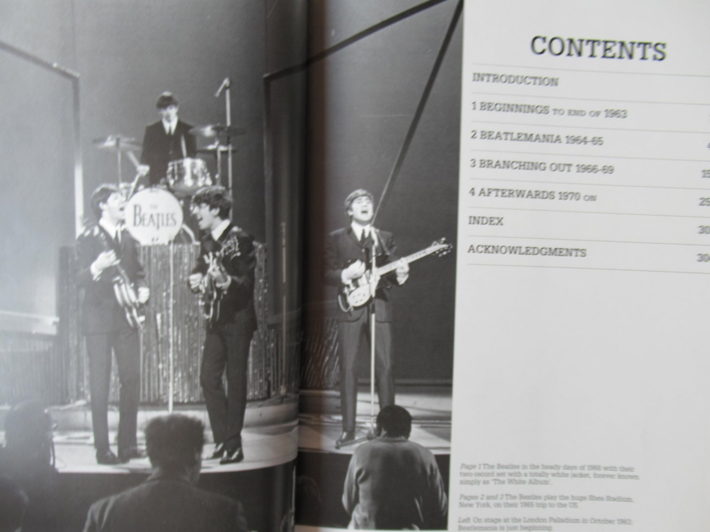 Delano, Julia - The Beatles album