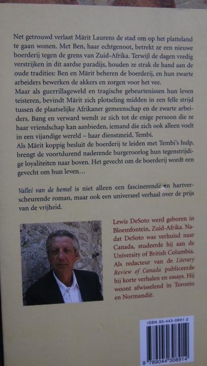 Desoto, Lewis - Vallei van de Hemel. Een aangrijpende roman over vriendschap, verraad en vergeving