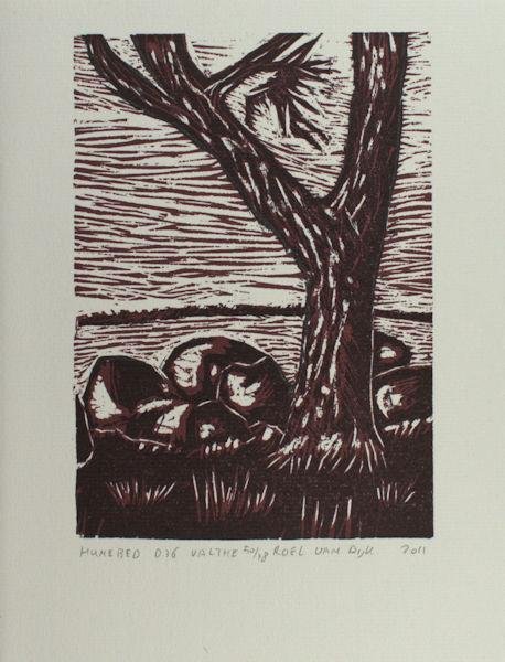 Dijk, Roel van. - Hunebed D36 Valthe.