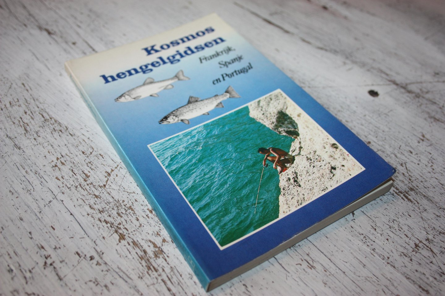 Hoedeman, J.J. (samenstelling) - Kosmos hengelgidsen / Frankrijk, Spanje, Portugal