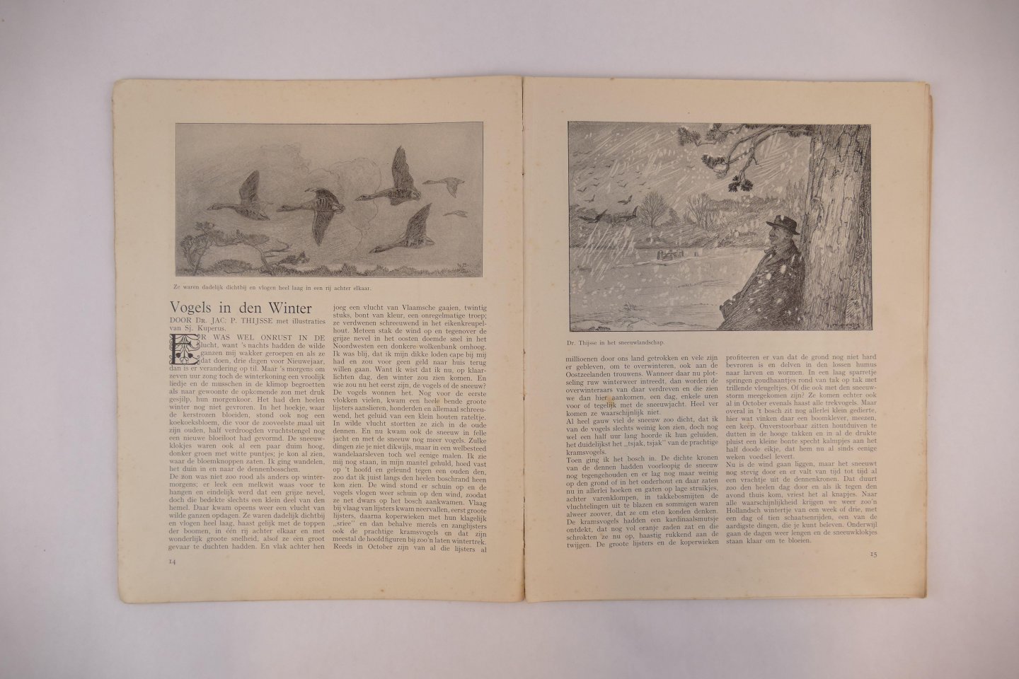 Tienhoven, A.B. van (samenst) - Het Sint Nicholaas Boek 1925. Bijzondere uitgave van ons eigen tijdschrift.