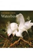 CROSS, Theodore - WATERBIRDS