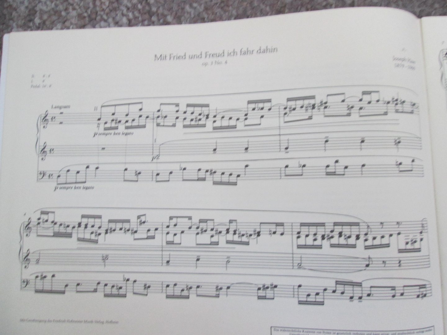 Busch , Hermann J. ( ed.) - CHORALVORSPIELE VON REGER-SCHULERN FUR ORGEL ( Choral Preludes from Pupils of Max Reger for Organ )