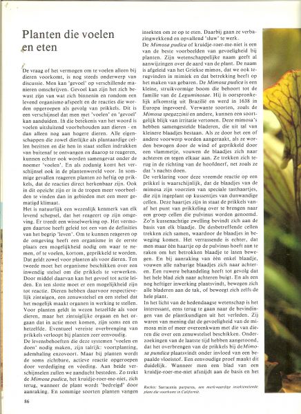 Hoek, K.A. van den en Wim Neven - Het Exotische Plantenrijk  - De wonderlijke natuur