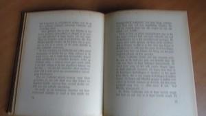 Oldenburg Ermke, Frans van - Dame alleen.... Eenige hoofdstukken uit het leven eener oude jonge juffrouw