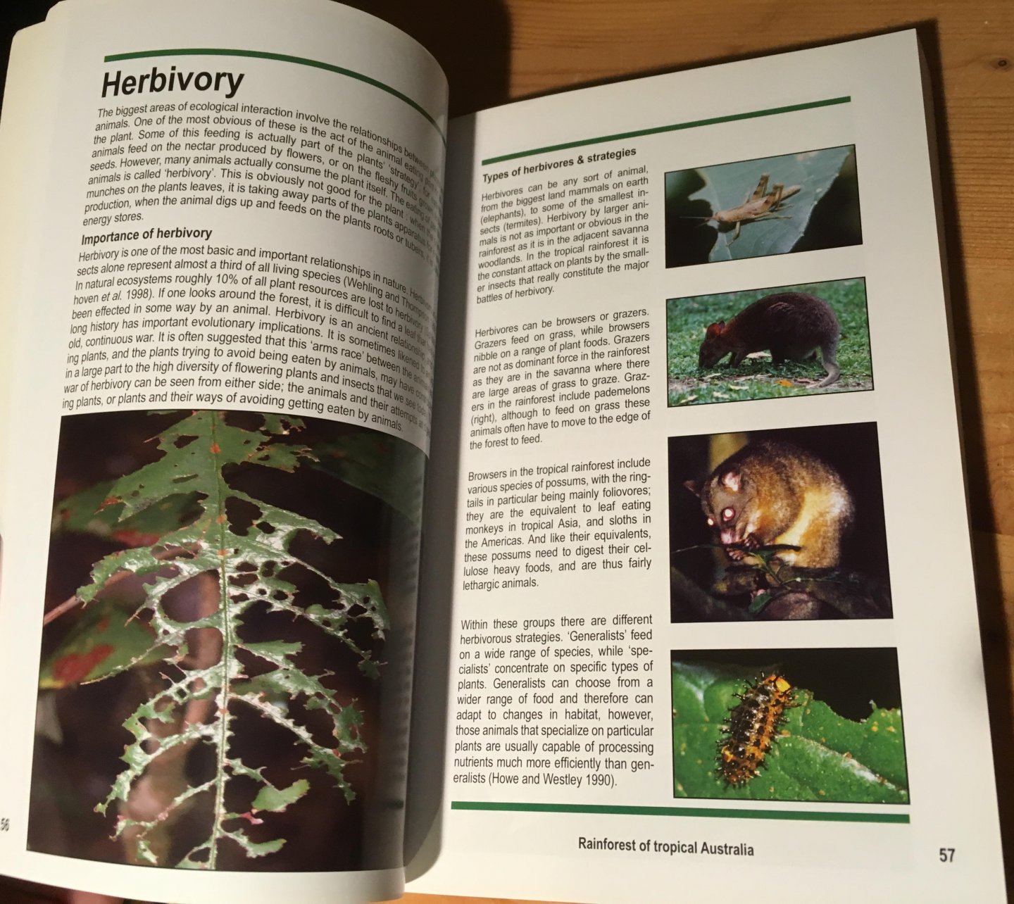Ramsey, Damon - Rainforest of Tropical Australia - Ecosystem Guides - 2nd ed