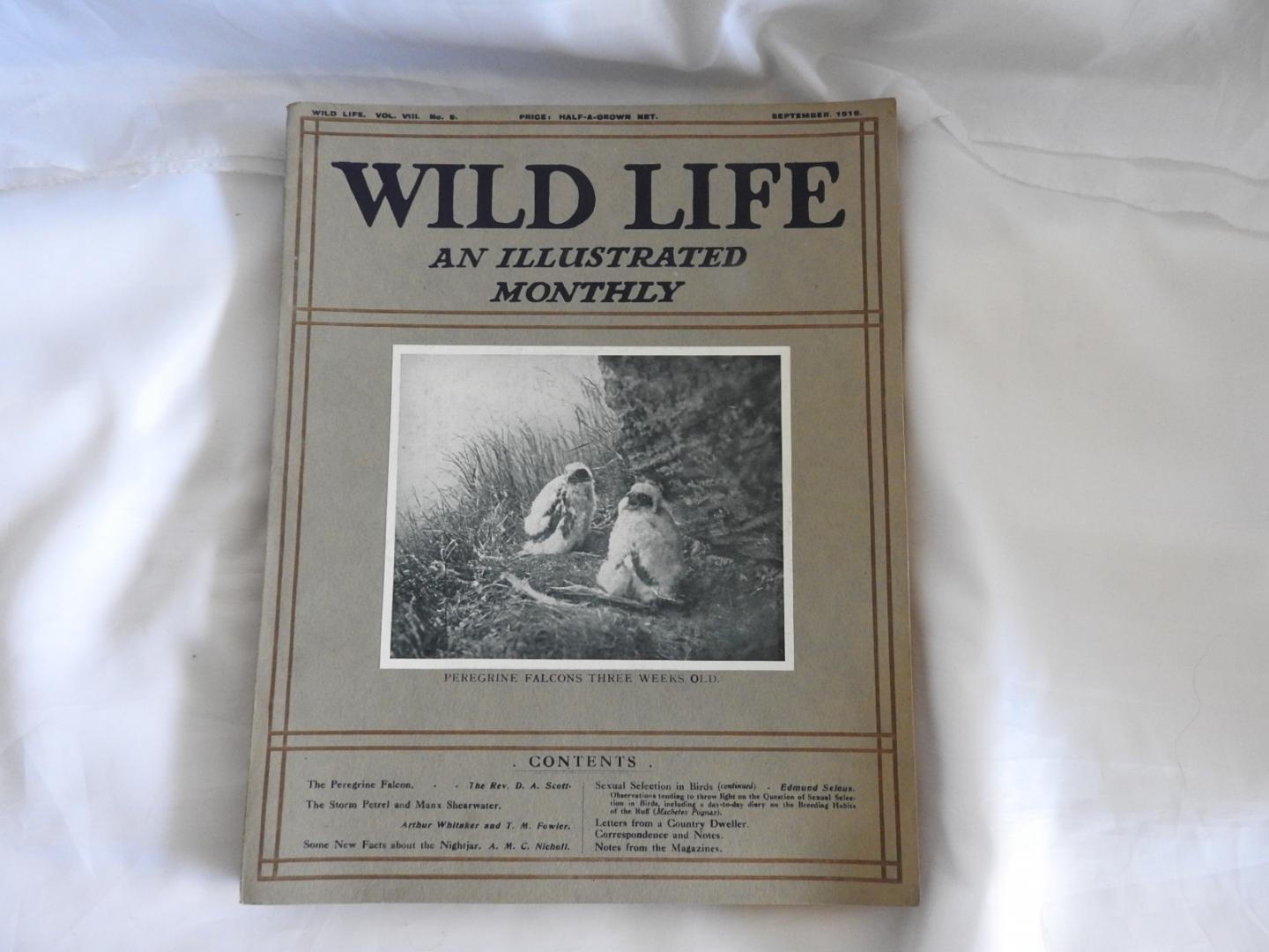 Douglas English - Wild life : an illustrated monthly. Wildlife 1913 - 1914 - 1915 - 1916. COMPLETE