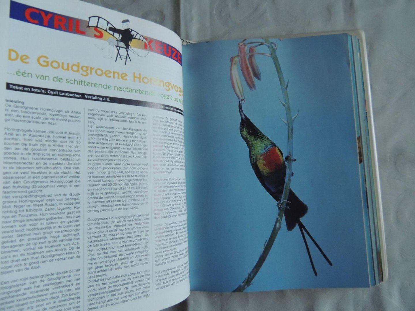 Boekwinkeltjes.nl - Onze Vogels. Maandblad Van De Nederlandse Bond Van ...