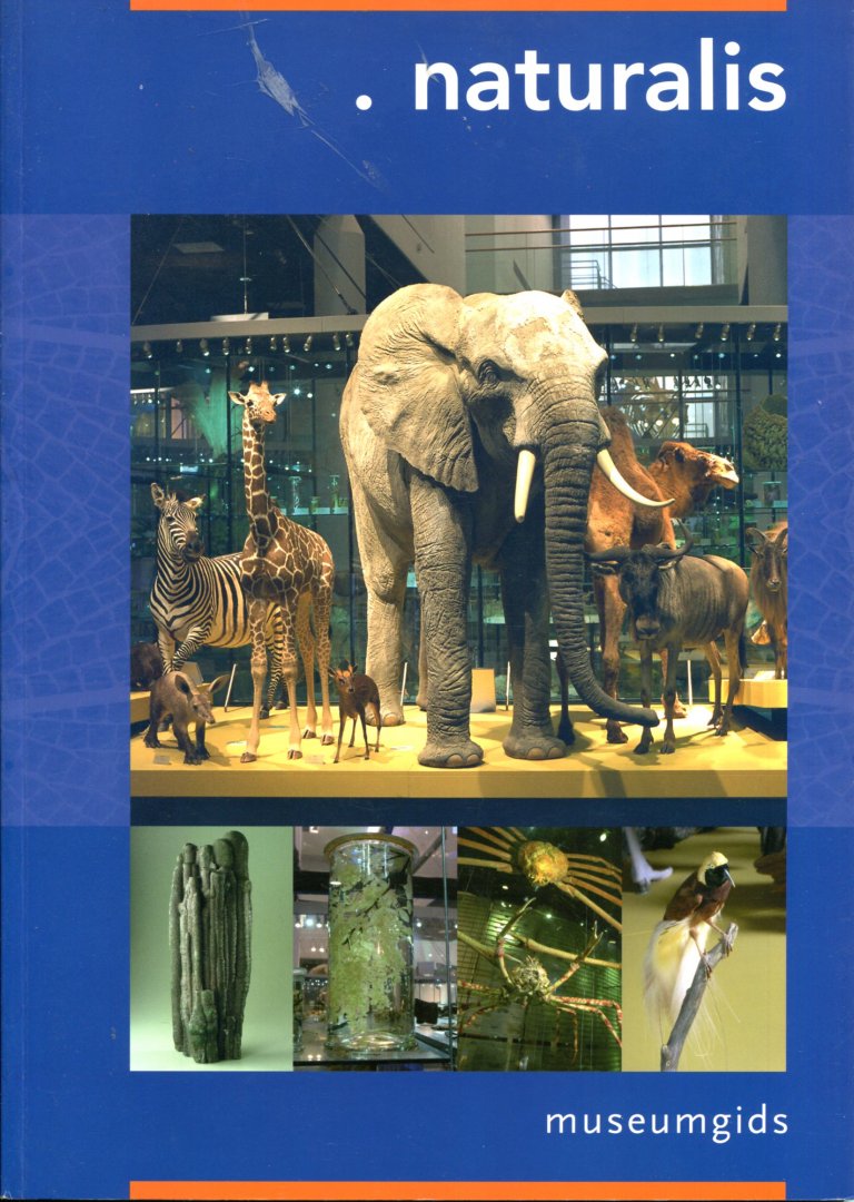 Naturalis - Naturalis