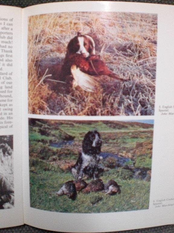 Jackson, Tony - The Complete Book of Gundogs in Britain