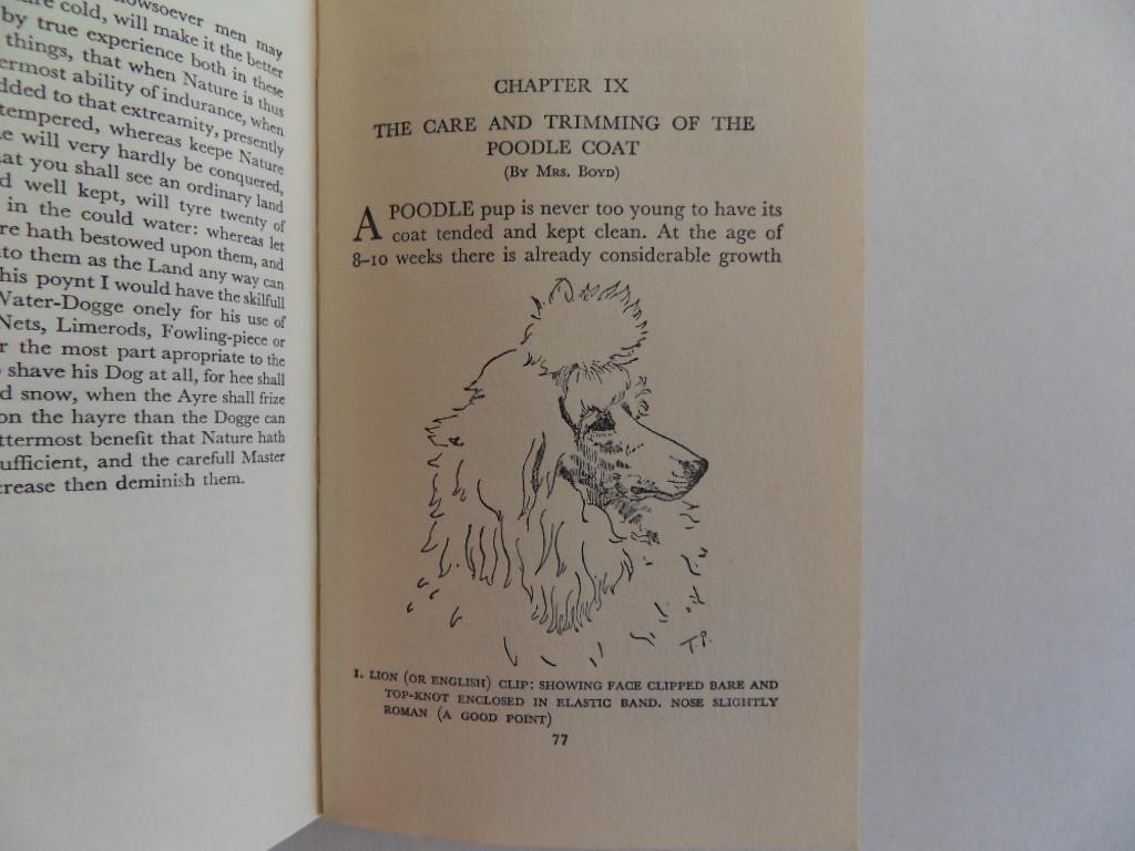 Johns, Rowland. - Our Friend The Poodle.