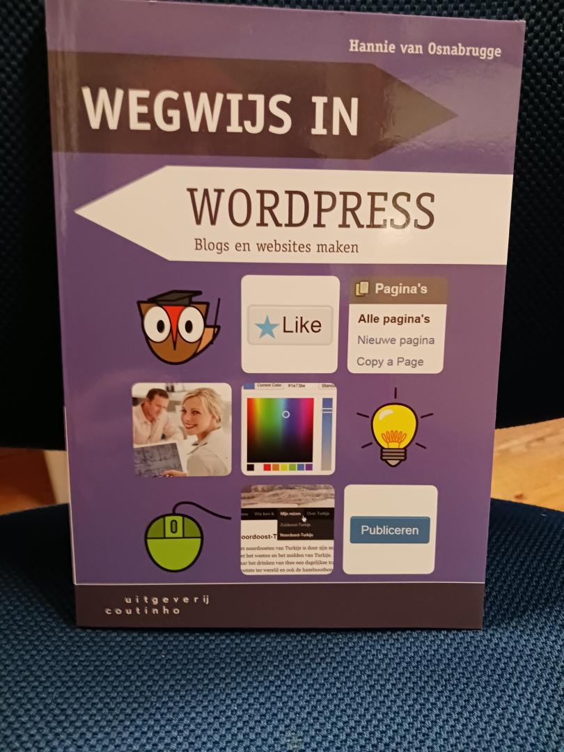 Osnabrugge, Hannie van - Wegwijs in WordPress / blogs en websites maken
