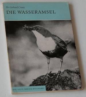 Aschenbrenner, Leopold - Der Waldlaubsänger (Phylloscopus sibilatrix)