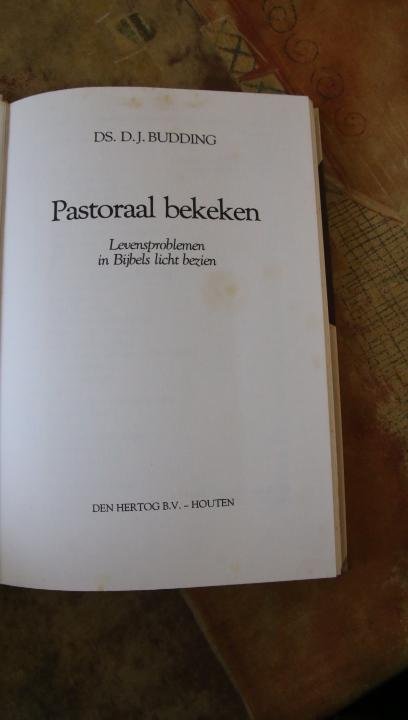 Budding, Ds. D.J. - Pastoraal bekeken - Levensproblemen in Bijbels licht bezien