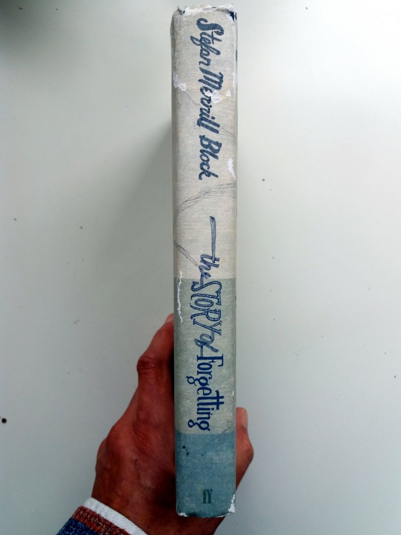 Merrill Block, Stefan - The Story of Forgetting (ENGELSTALIG)