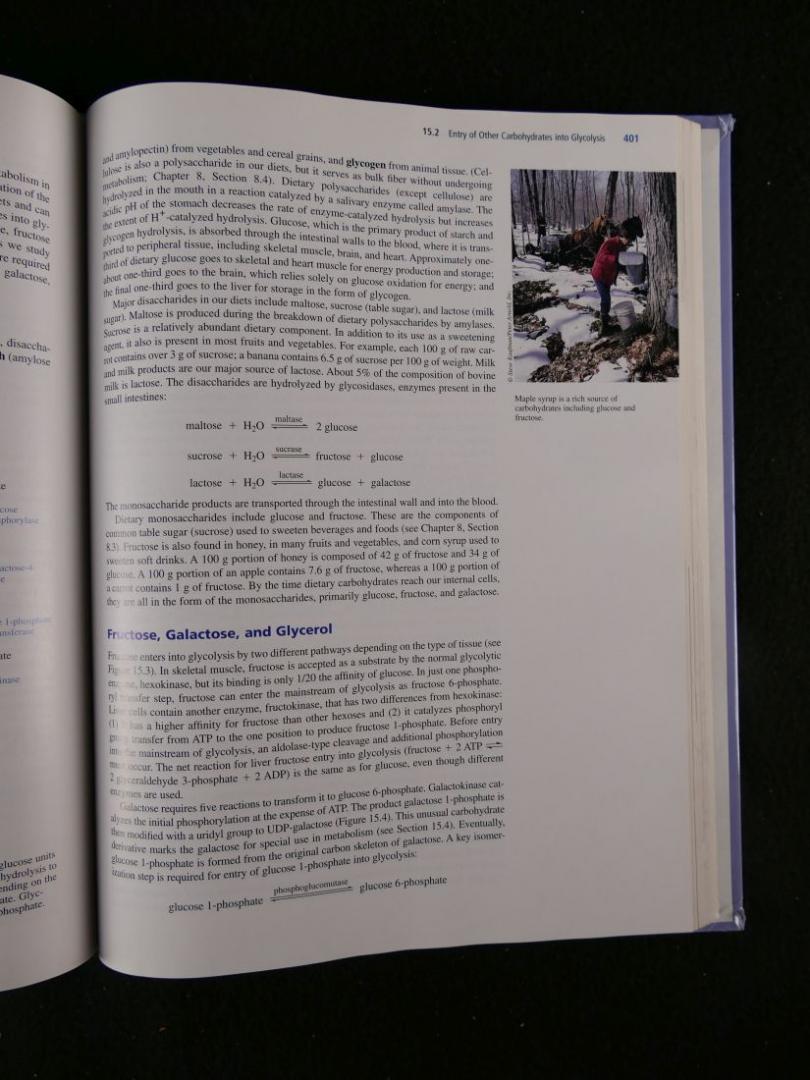 Boyer, Rodney - Concepts in Biochemistry- second edition (6 foto's)