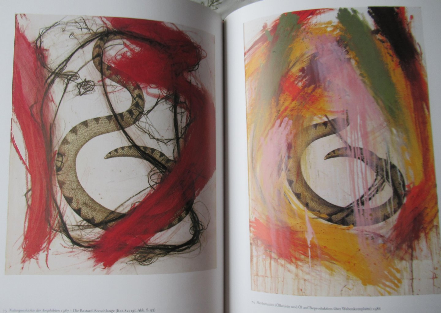 Catoir, Barbara - Arnulf Rainer Übermalte Bücher