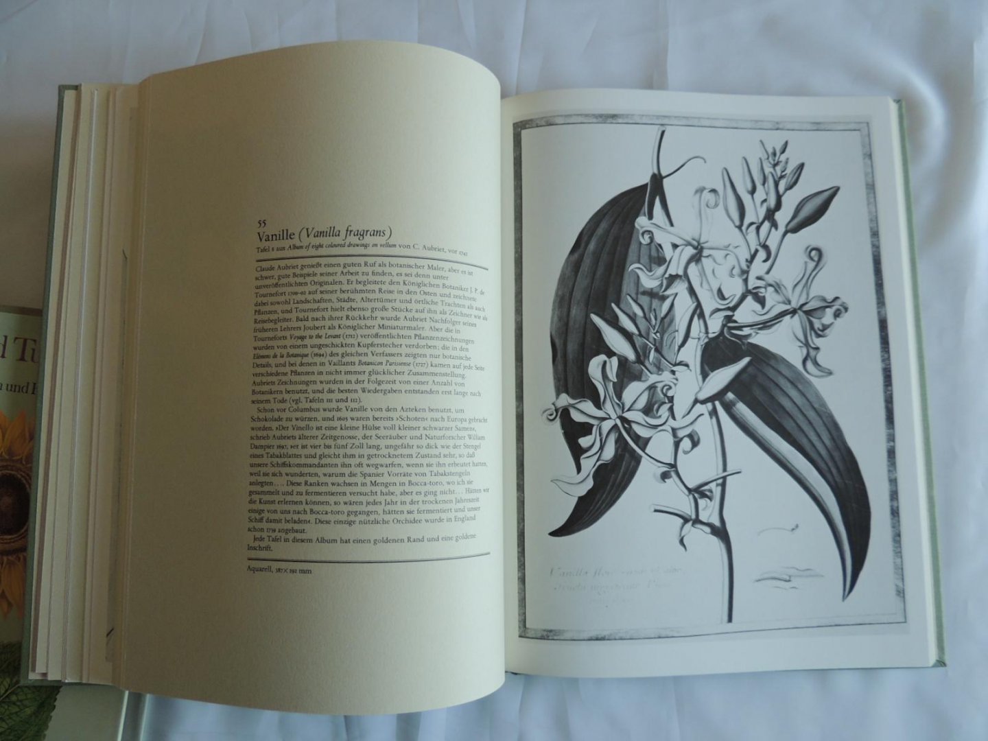 Coats, Alice - Kaiserkron und Tulipan die Schönheit von Blumen und Blüten. Tafeln aus Pflanzenbüchern des 16. bis 19. Jahrhunderts