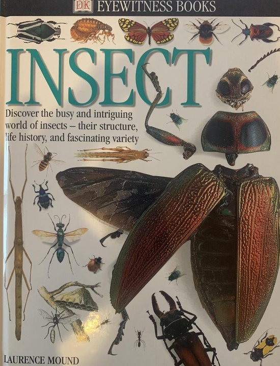  - Insect