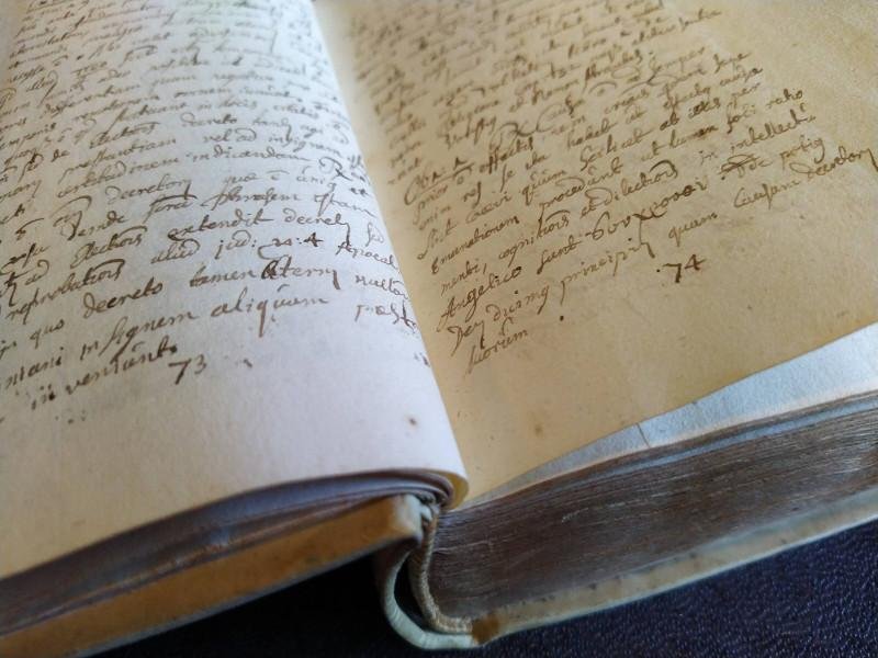 VENHUIZEN, LUDOLF, MARCKIUS, JOHANNES, - Christianae theologiae medulla didactico-elenctica