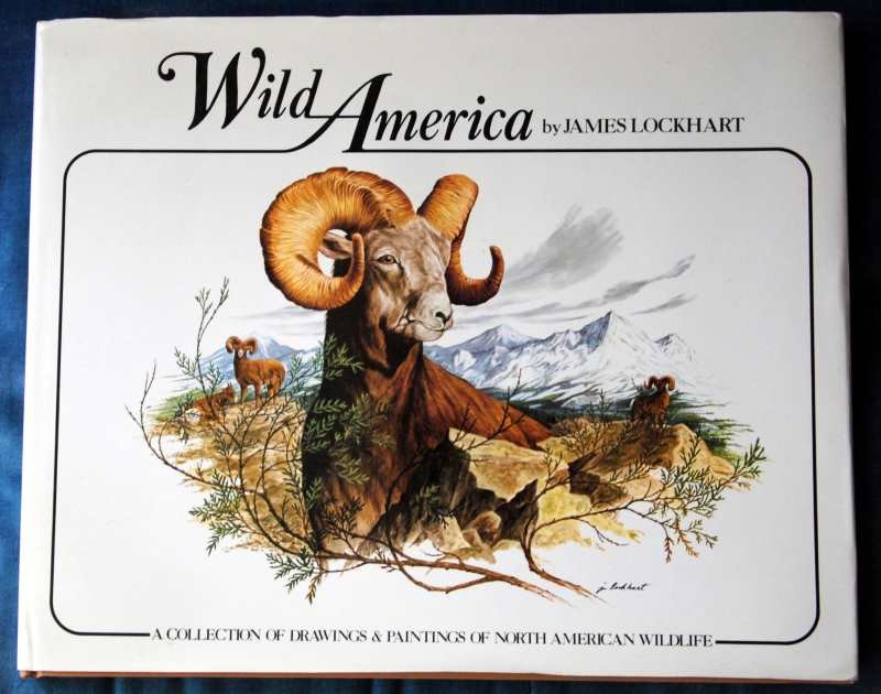 Lockhart, James tekst en paginagrote illustraties in kleur - Wild America / A collection of drawings & paintings of North American wildlife