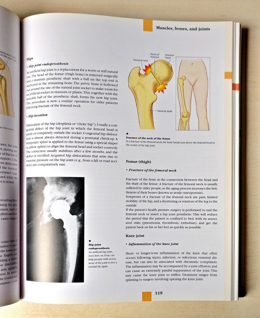 Editorial team Sobotta Atlas - Atlas Of Anatomy - Sobotta Illustrations