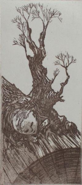 Vries, Yvonne de. - Boom met gezicht.